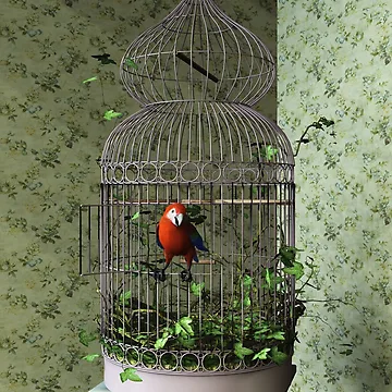 Artwork thumbnail, On the threshold by Roberta Angiolani