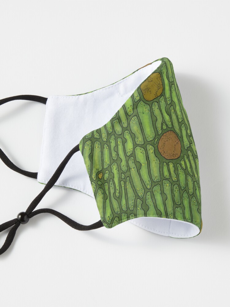 Alternate view of Venus Flytrap Cells Mask