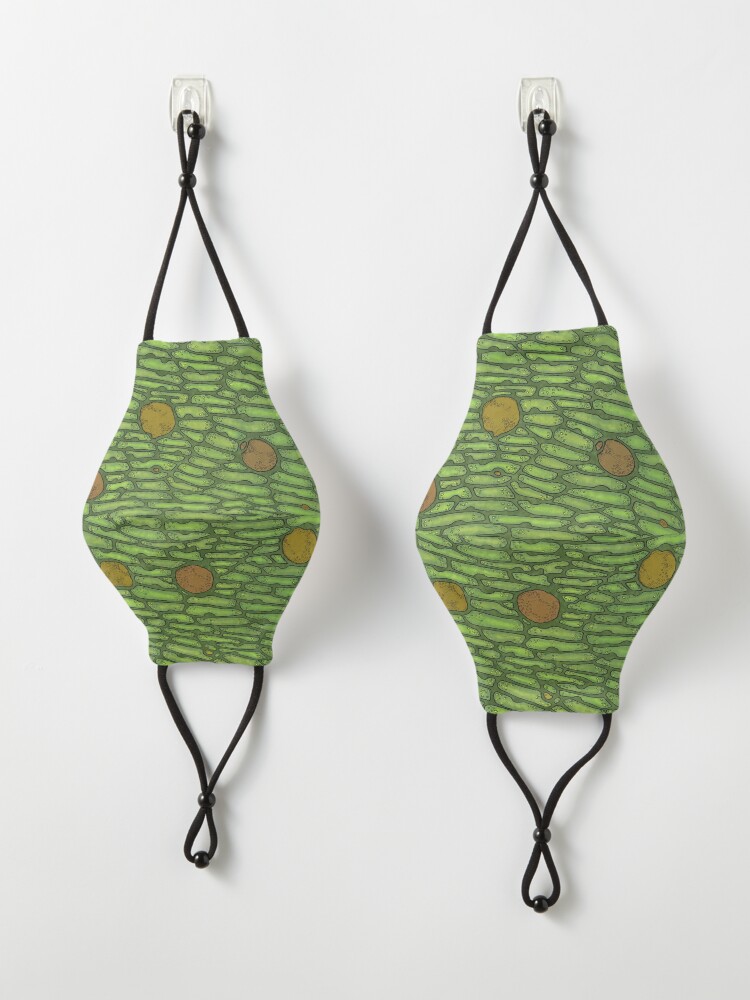 Alternate view of Venus Flytrap Cells Mask
