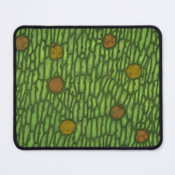 Item preview, Venus Flytrap Cells designed and sold by Tippitiwichet.