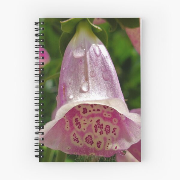 Item preview, Foxglove designed and sold by KBarrett-ForAwe.
