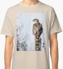 Juvenile Cooper's Hawk - Square Classic T-Shirt