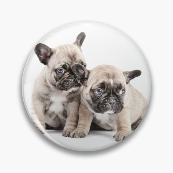 Item preview, Frenchie Puppy Pals designed and sold by ernest123.