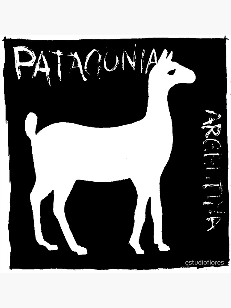 Patagonia Argentine Fauna de estudioflores