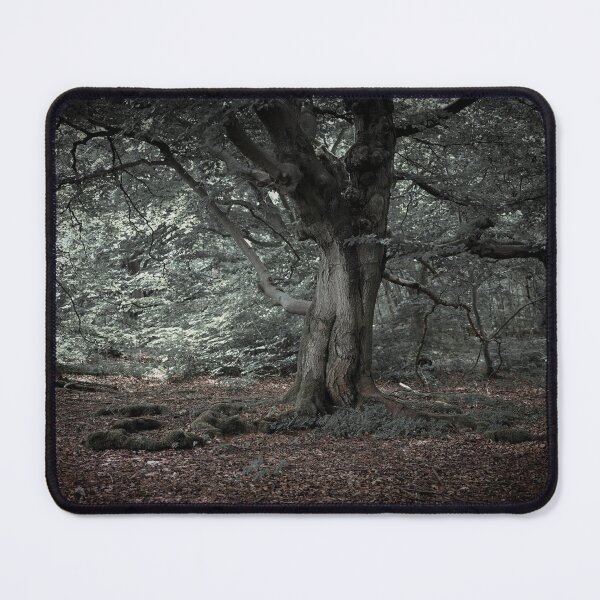 Item preview, In the fairytale forest designed and sold by Claudia-Evans.