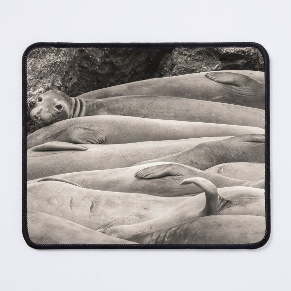 Item preview, I'm Still Awake designed and sold by jvnimages.