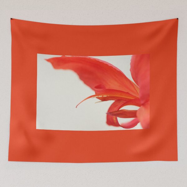 Item preview, Softly Red Canna Lily designed and sold by Debbie Oppermann.