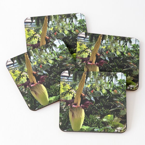 Item preview, Corpse Flower In Bloom designed and sold by KBarrett-ForAwe.