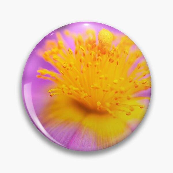 Item preview, Wild Rose designed and sold by jvnimages.