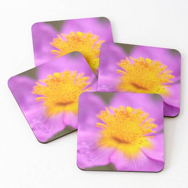 Item preview, Wild Rose designed and sold by jvnimages.