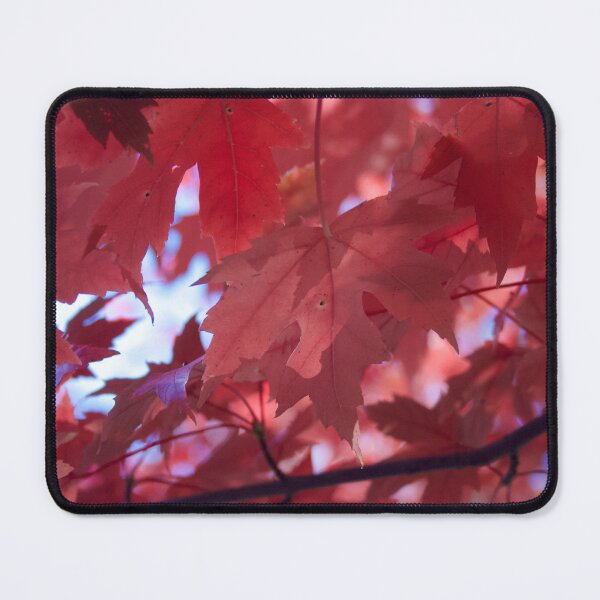 Item preview, The Beauty of Fall designed and sold by Artistic Creations by Lisa.