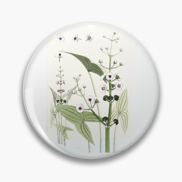 Item preview, Arrowhead Wildflower Print designed and sold by nanengen2.