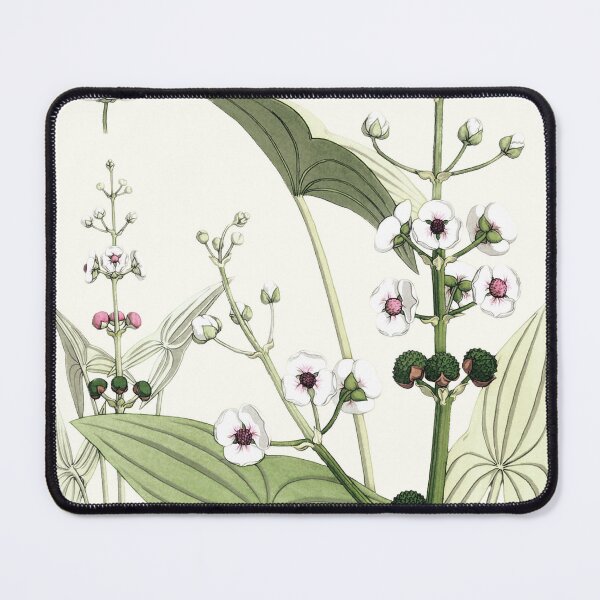Item preview, Arrowhead Wildflower Print designed and sold by nanengen2.