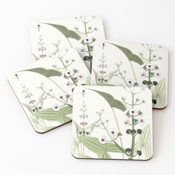 Item preview, Arrowhead Wildflower Print designed and sold by nanengen2.