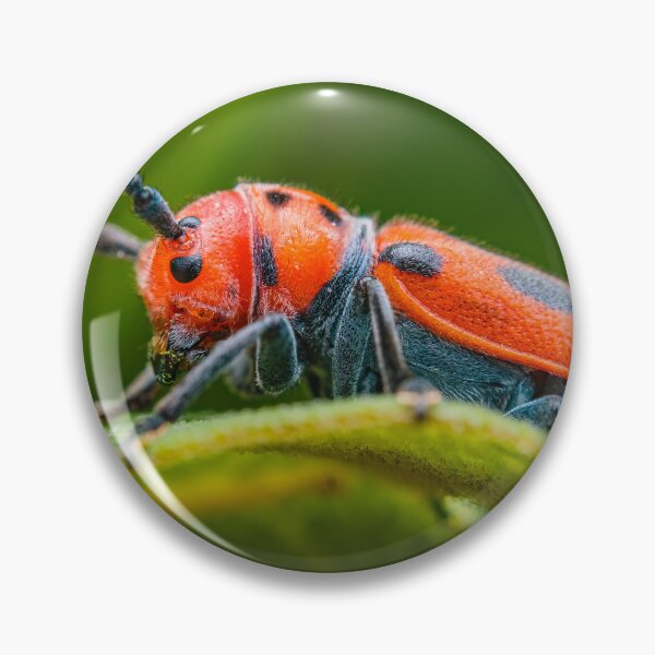 Item preview, Red Milkweed Longhorn Beetle - Tetraopes Tetrophthalmus designed and sold by AronsTinySafari.