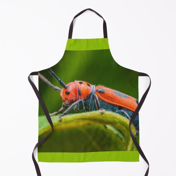Item preview, Red Milkweed Longhorn Beetle - Tetraopes Tetrophthalmus designed and sold by AronsTinySafari.
