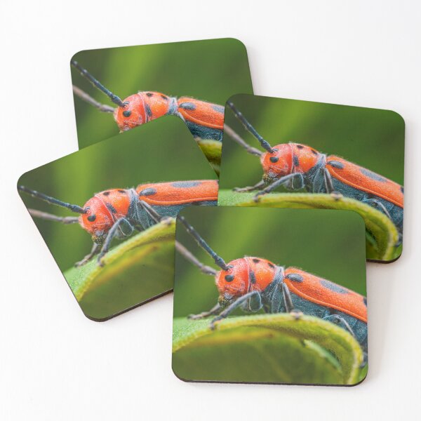 Item preview, Red Milkweed Longhorn Beetle - Tetraopes Tetrophthalmus designed and sold by AronsTinySafari.