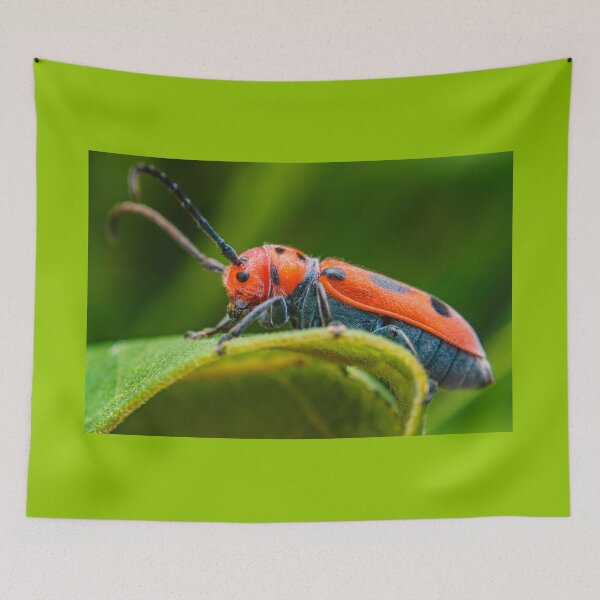 Item preview, Red Milkweed Longhorn Beetle - Tetraopes Tetrophthalmus designed and sold by AronsTinySafari.