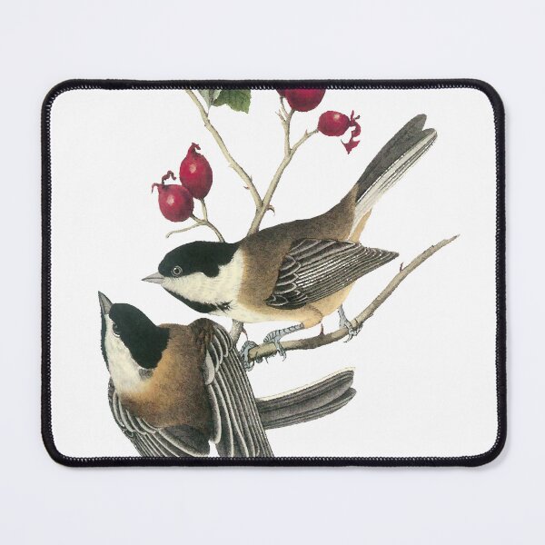 Item preview, Audubon Black Capped Chickadees designed and sold by nanengen2.