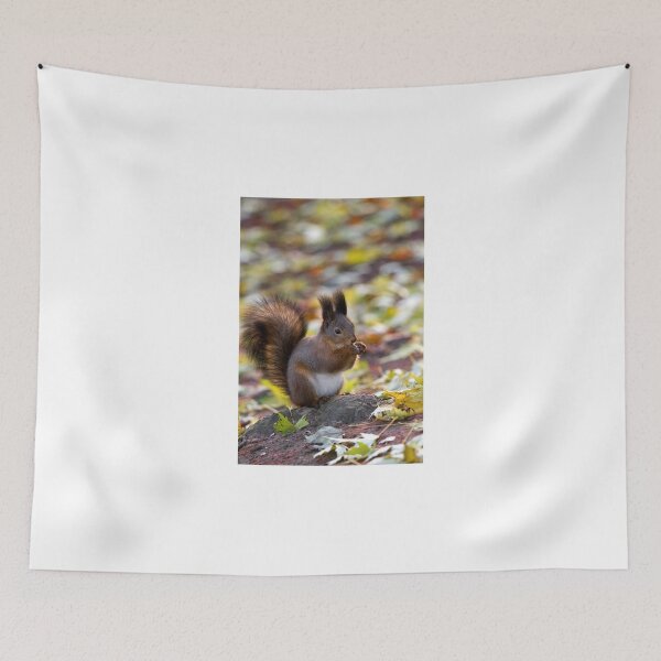 Item preview, Autumn Squirrel designed and sold by Sergey Bezberdy.