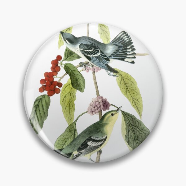 Item preview, Audubon Cerulean Warblers Print designed and sold by nanengen2.