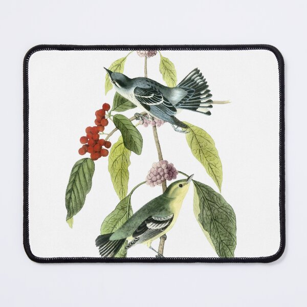 Item preview, Audubon Cerulean Warblers Print designed and sold by nanengen2.