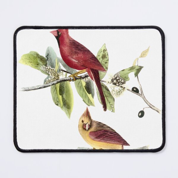 Item preview, Audubon Northern Red Cardinals designed and sold by nanengen2.