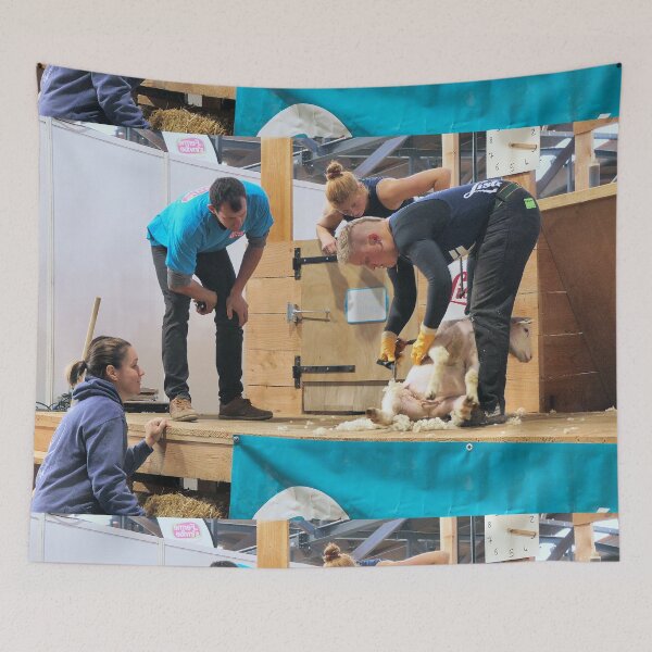 Item preview, r3568 / finition 2022 - 7 - La Ferme s'invite: " trés Attentif "  Poitiers 2022  "  - Okaio Créations  Olavia-Olao designed and sold by o.okaïo.