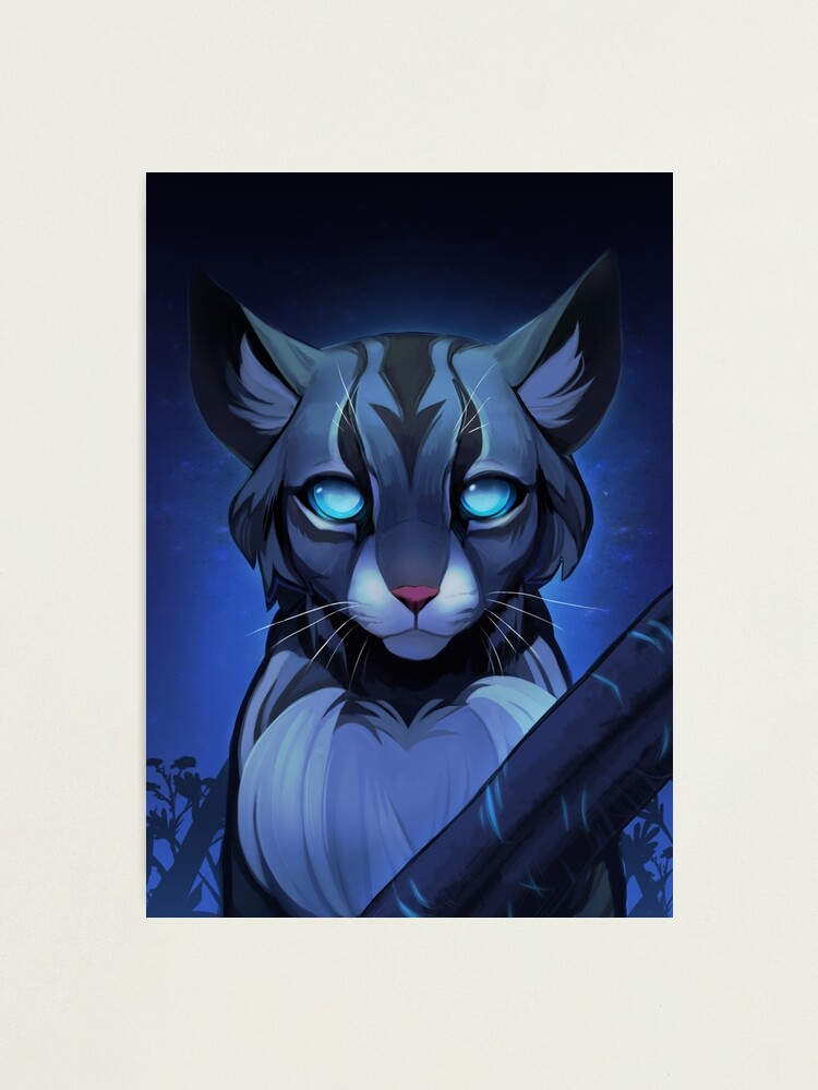 Jayfeather(Warrior Cats) Bluejay_Symphony - Illustrations ART street