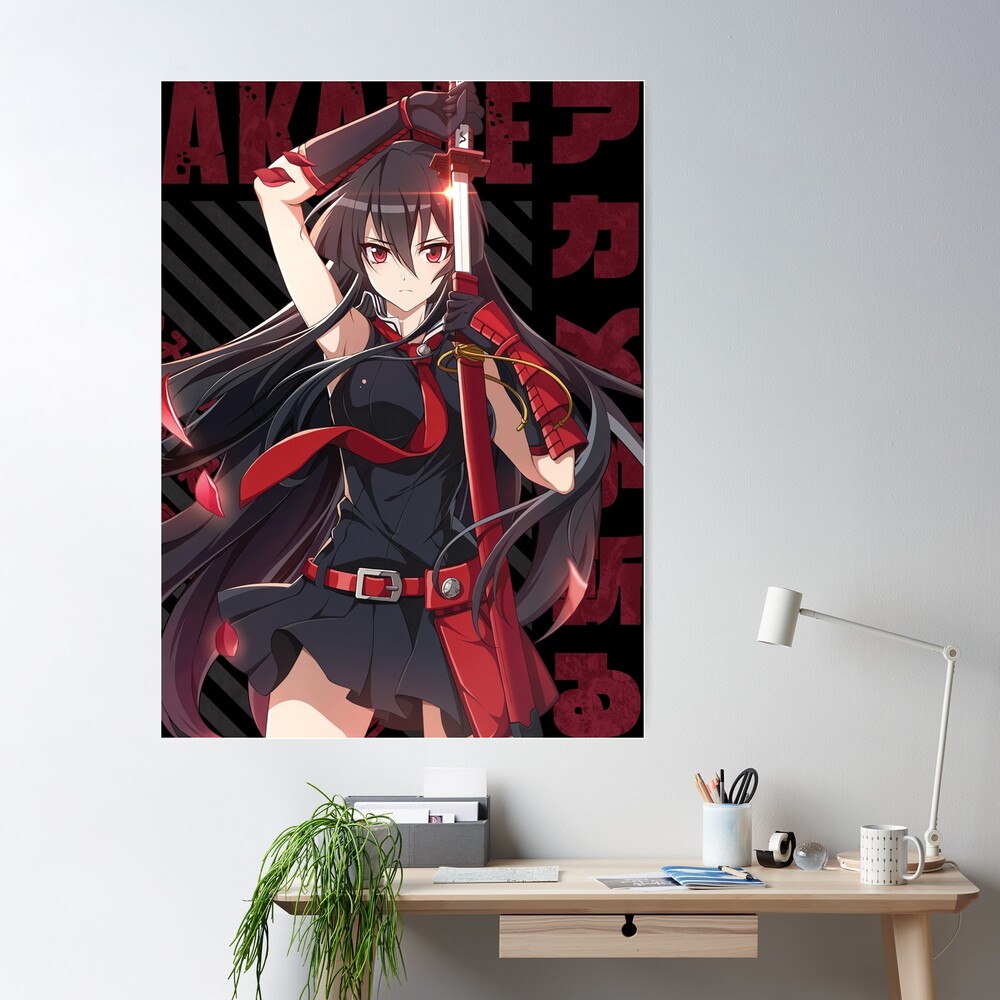  A Wide Variety of Akame Ga Kill! Anime Characters Wall Scroll  Hanging Decor (Akame 6) : Tools & Home Improvement