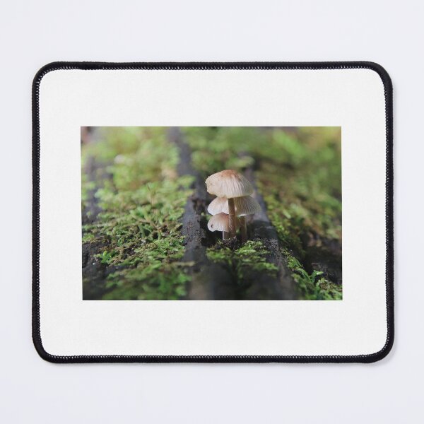 Item preview, Mushroom Macro designed and sold by MortonDesigns.