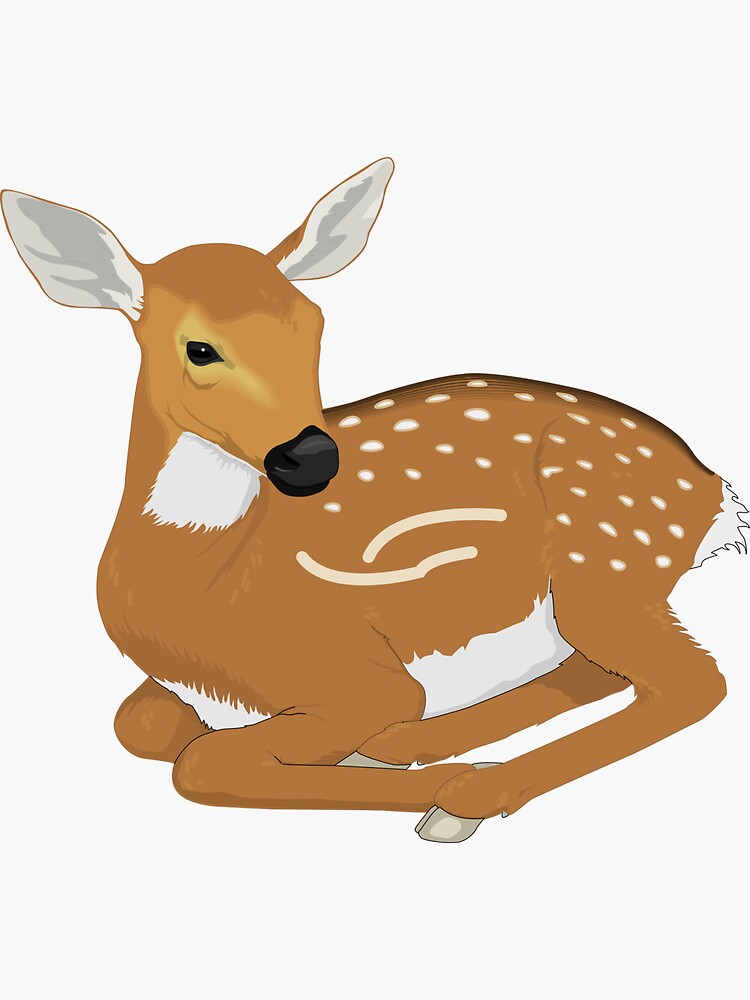 Animal The Best Image Is A Deer Image Sticker For Sale By animal-the-best-image-is-a-deer-image-sticker-for-sale-by