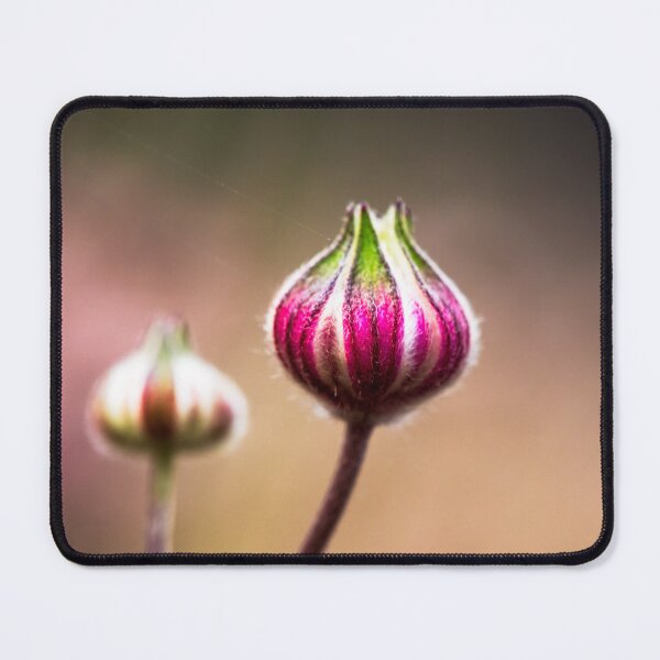 Item preview, Spring Dream designed and sold by SamWilsonPhoto.