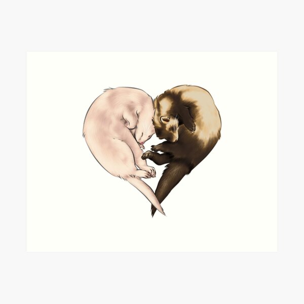 Ferret Love Art Print