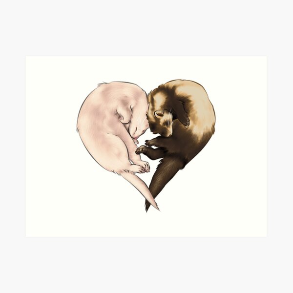 Ferret Love Art Print