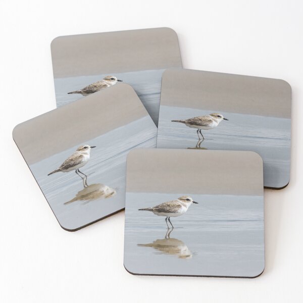 Item preview, Snowy Plover Reflecting designed and sold by Debra Martz.