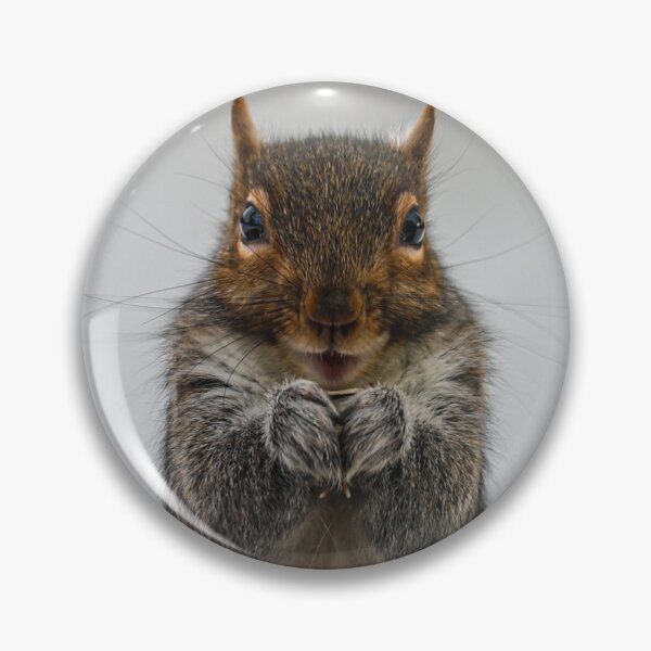 Item preview, Adorable squirrel designed and sold by chopke63.