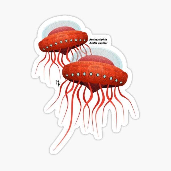 Team Jellyfish Stickers for Sale | Redbubble
