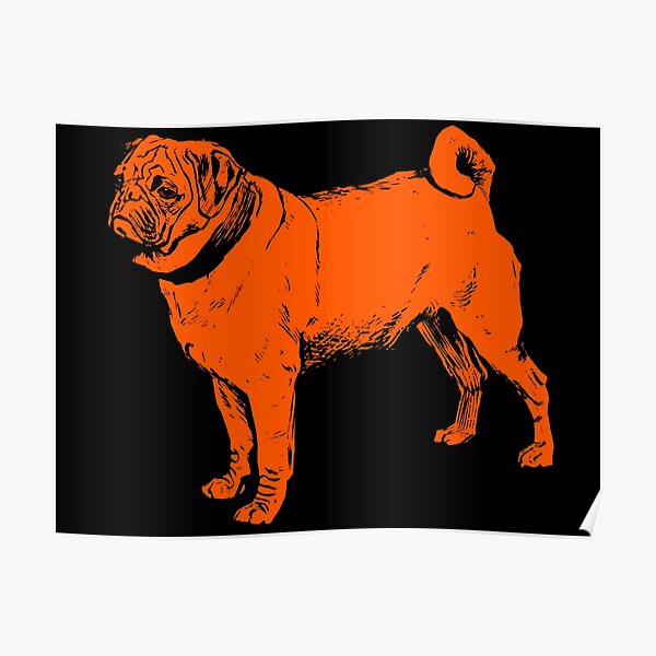 "Cute Pug dog in Orange and Black | Dogs world" Poster for Sale by