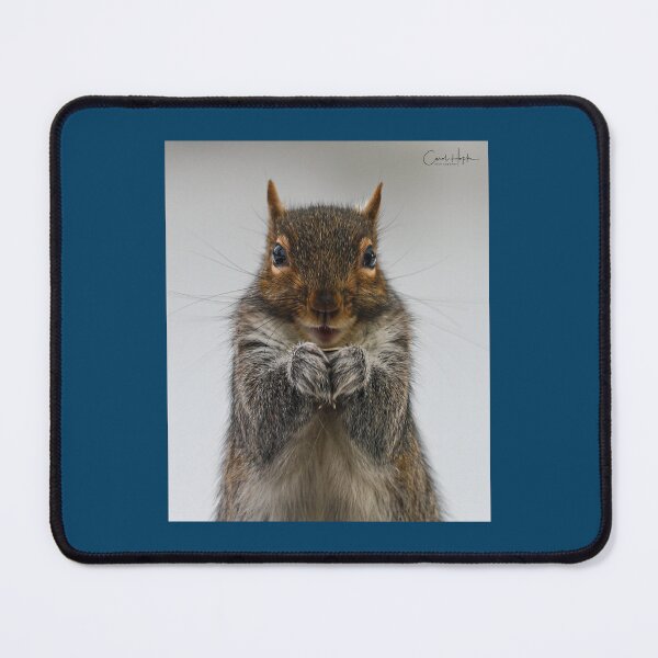 Item preview, Adorable squirrel designed and sold by chopke63.