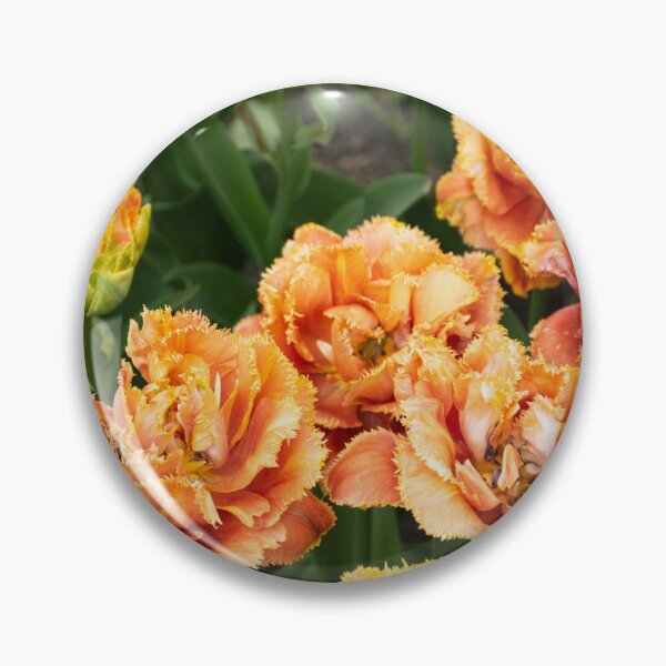 Item preview, Orange Tulips Photography designed and sold by Inspirely.