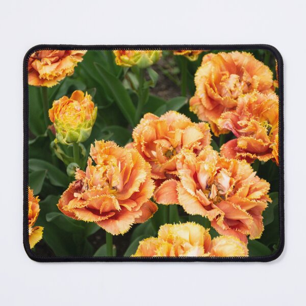 Item preview, Orange Tulips Photography designed and sold by Inspirely.