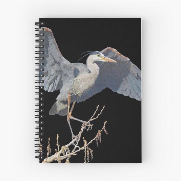 Item preview, great blue heron scratchboard designed and sold by R Christopher  Vest.