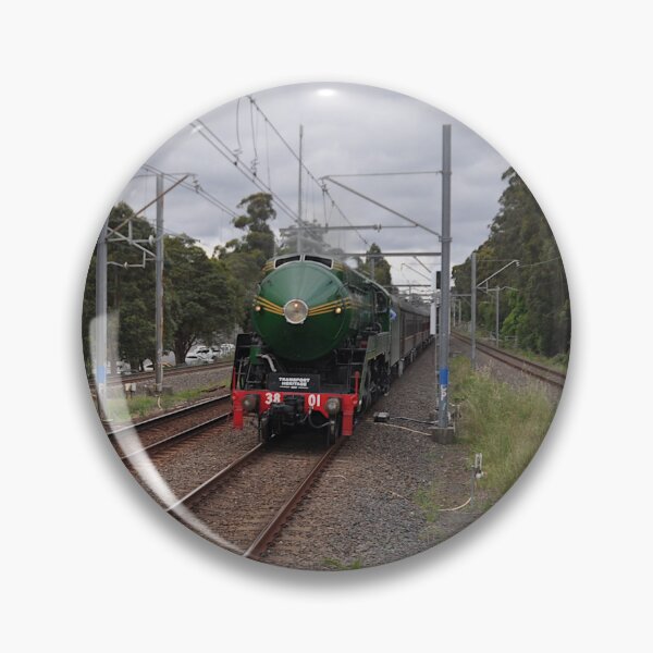 Item preview, Newcastle Flyer - Steam Engine 3801 20221016 designed and sold by muz2142.