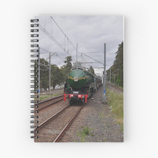 Item preview, Newcastle Flyer - Steam Engine 3801 20221016 designed and sold by muz2142.