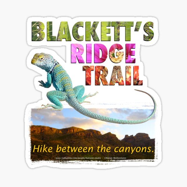 Vista previa del artículo con la obra «Blackett's Ridge Trail con Collard Lizard», diseñado y vendido por Halcyon-Studio.