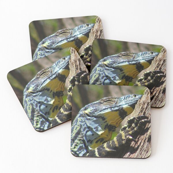 Item preview, The Goanna Sleeps! designed and sold by Mickangelhere.