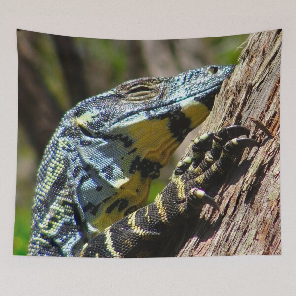 Item preview, The Goanna Sleeps! designed and sold by Mickangelhere.