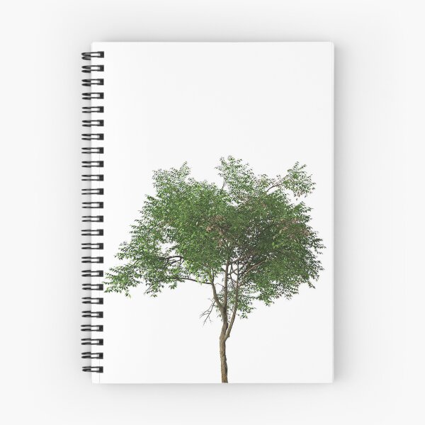 Item preview, Tree canopy designed and sold by Adriano Carrideo.