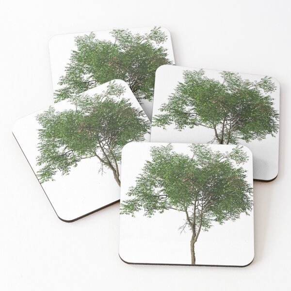 Item preview, Tree canopy designed and sold by Adriano Carrideo.